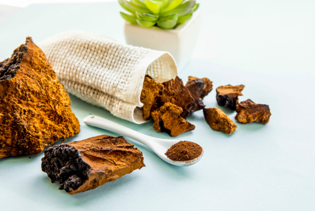 Exploring the Rich Benefits of Chaga Functional Mushrooms